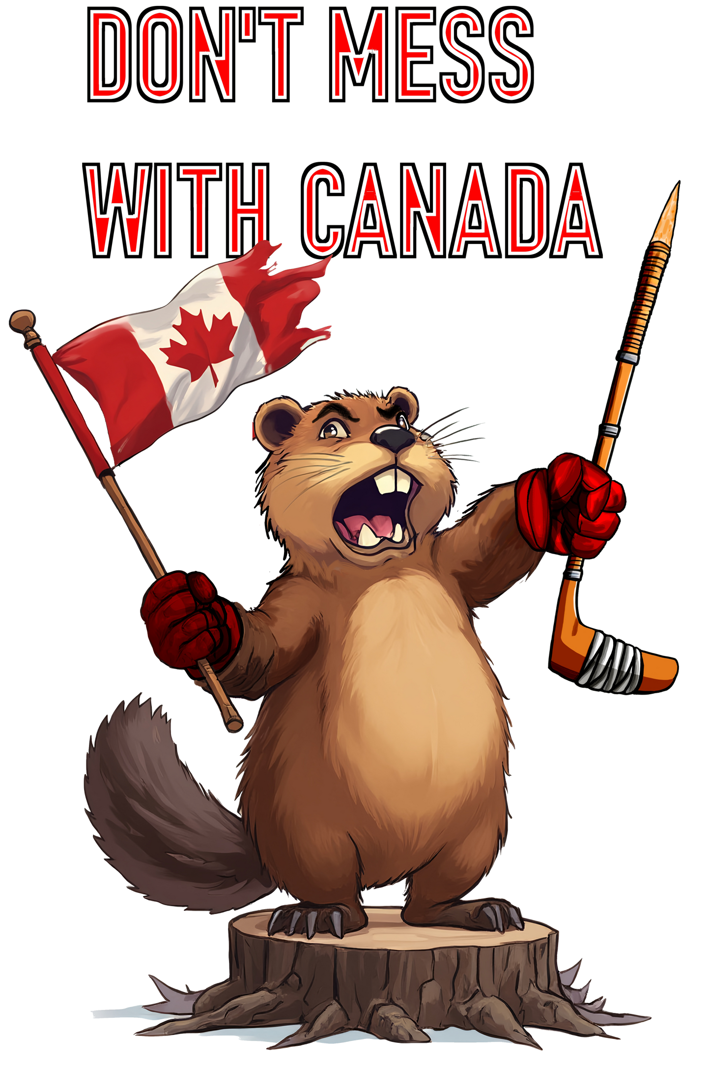 Don't Mess With Canada Ladies V Neck Organic Cotton